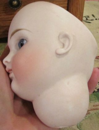 Very Rare Antique C1890 Closed Mouth Kestner Bisque Doll Head,  AT Type 4