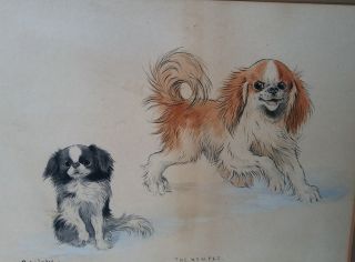 Rare Antique Louis Wain Watercolor Painting Dogs The Pet