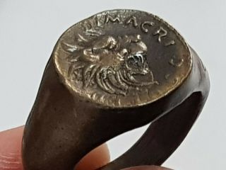 FANTASTIC EXTREMELY RARE ANCIENT GREEK MASSIVE BRONZE RING/LION.  14,  9 GR.  20 MM 2
