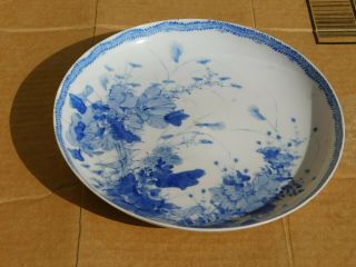 Antique Japanese Blue/white Porcelain Plate,  C.  1900