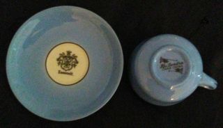FRANKLIN ROOSEVELT CARR CHINA RHO DENDRA CUP AND SAUCER 2