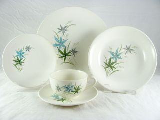 Mid Century Sabin China,  Blue,  Gray,  Green Lily Flower,  69 Pc,  Svc For 10,  Vtg