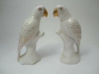 Antique Porcelain Vintage Parrots Pair White And Gold 5.  5 Inches Tall