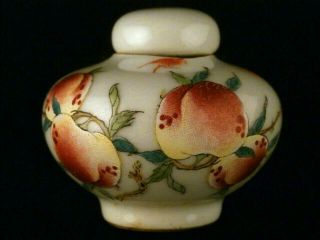 Great 19thc Chinese Porcelain Painting Longevity Peach Snuff Bottle Y009