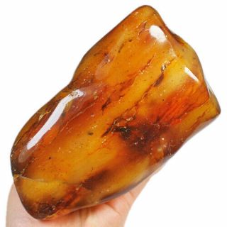 467g Natural Baltic Butterscotch Amber 琥珀 蜜蜡 Facet Rough Specimen Msfc776