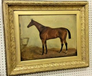 Antique Thoroughbred Oil Painting Race Horse In Stall R.  A.  Miley 19th Century