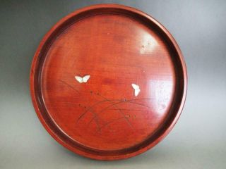 Japanese Wooden Tray/ Good Wood Grain/ Raden /butterfly/ 8756