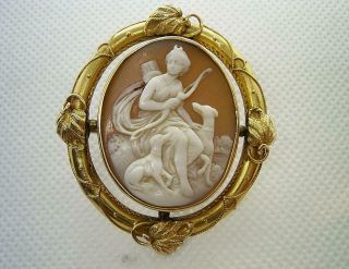 ANTIQUE VICTORIAN 15CT GOLD SHELL CAMEO BROOCH DIANA WITH HER DOGS. 2