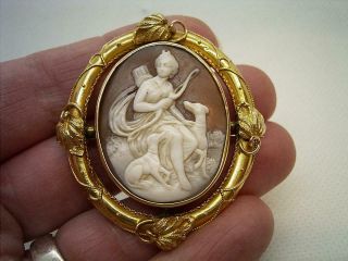 ANTIQUE VICTORIAN 15CT GOLD SHELL CAMEO BROOCH DIANA WITH HER DOGS. 3