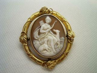 ANTIQUE VICTORIAN 15CT GOLD SHELL CAMEO BROOCH DIANA WITH HER DOGS. 7