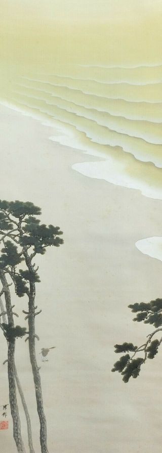 I477: Japanese Old Hanging Scroll.  Beach With Big Pine Tree By Kiho Utsumi.