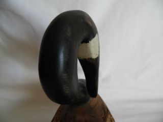 Chris Boone Canadian Goose Wood Sculpture Decoy Signed Vintage Hand Carved 10