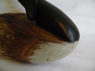 Chris Boone Canadian Goose Wood Sculpture Decoy Signed Vintage Hand Carved 5