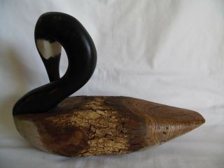 Chris Boone Canadian Goose Wood Sculpture Decoy Signed Vintage Hand Carved 6