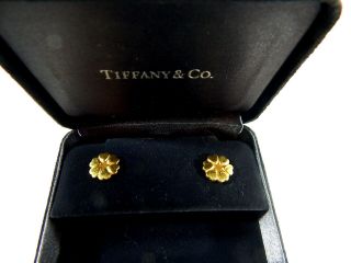 Vintage Tiffany & Co Paloma Picasso 18k Gold Stud Earrings Box