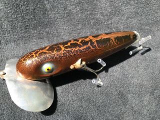 VINTAGE FRED ARBOGAST MUSKY JITTERBUG BASS FISHING LURE VR CUSTOM “Wild Thing” 3