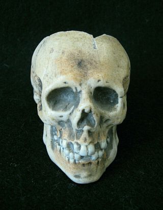 Miniature Porcelain Human Skull Container / Probably German / C.  1900