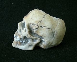 Miniature Porcelain Human Skull Container / probably German / c.  1900 2