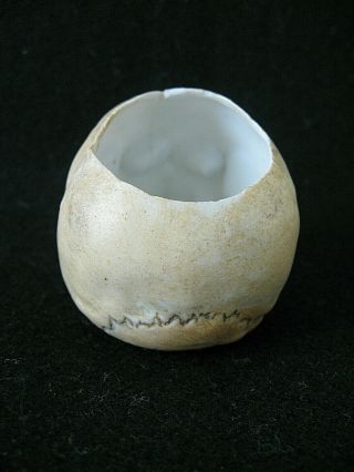 Miniature Porcelain Human Skull Container / probably German / c.  1900 3