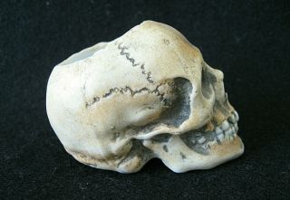 Miniature Porcelain Human Skull Container / probably German / c.  1900 4