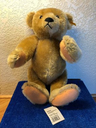 German Steiff Vintage 12 " Stuffed Jointed Teddy Bear Growler