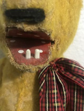 Antique 1907 Roosevelt Bear With Teeth Stuffed Teddy Bear RARE 5