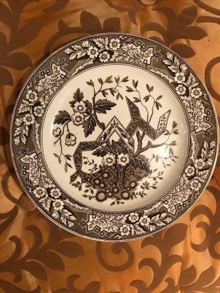Wedgewood Plate " Beatrice " Brown And White Circa 1880
