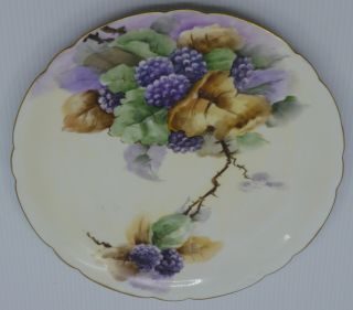 Old Jean Pouyat French Limoges Porcelain Plate,  Hand Painted W Berries,