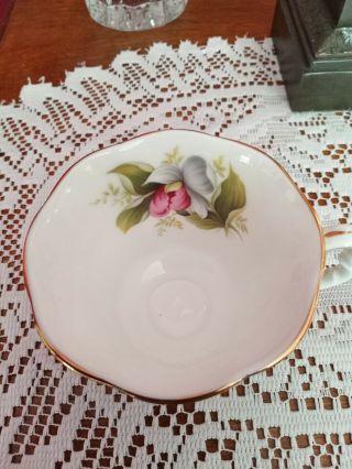ROYAL ALBERT tea cup and saucer LADY SLIPPER provincial flower chintz teacup 5