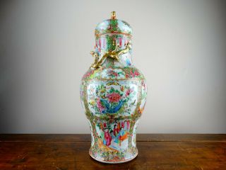 Antique Chinese Porcelain Vase with Cover Canton Famille Rose 19th Century 45cm 4