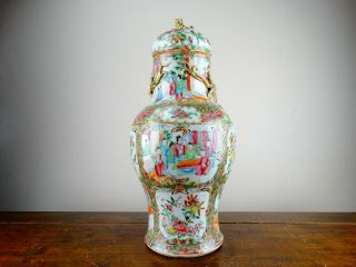 Antique Chinese Porcelain Vase with Cover Canton Famille Rose 19th Century 45cm 5