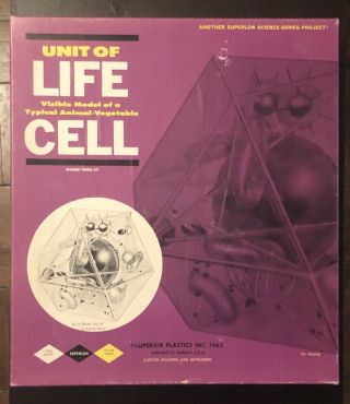 Unit Of Life Science Model Animal Vegetable Cell Superior Plastics 1962 Vntg