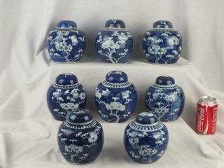 Eight Antique Chinese Porcelain Blue & White Prunus Jars And Covers