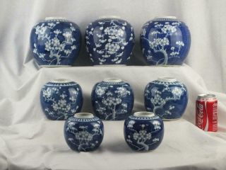 Eight Antique Chinese Porcelain Blue & White Prunus Jars