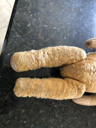 antique steiff teddy bear 10