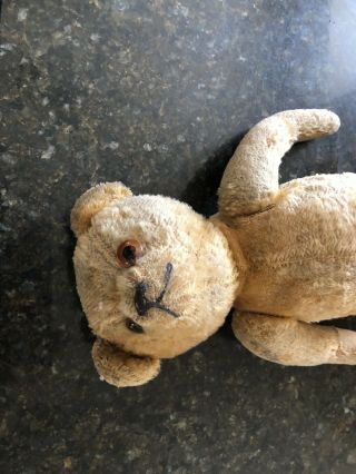 antique steiff teddy bear 7