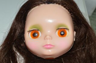 Vintage 1972 Kenner Blythe Doll Head On Makeup