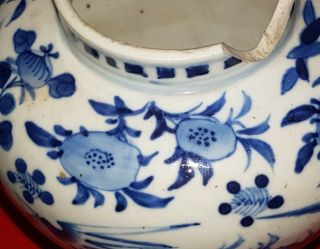 Antique Chinese Kangxi Blue & White Porcelain Vase with Birds and Flowers 4