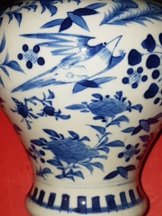 Antique Chinese Kangxi Blue & White Porcelain Vase with Birds and Flowers 5