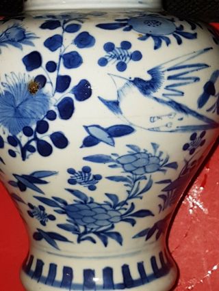 Antique Chinese Kangxi Blue & White Porcelain Vase with Birds and Flowers 6