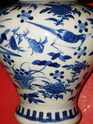 Antique Chinese Kangxi Blue & White Porcelain Vase with Birds and Flowers 7