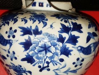 Antique Chinese Kangxi Blue & White Porcelain Vase with Birds and Flowers 8