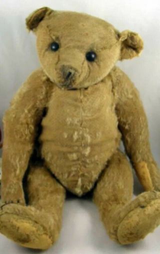 Wonderful Early Antique Steiff Teddy Bear c1907 16” 2