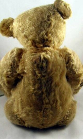 Wonderful Early Antique Steiff Teddy Bear c1907 16” 5