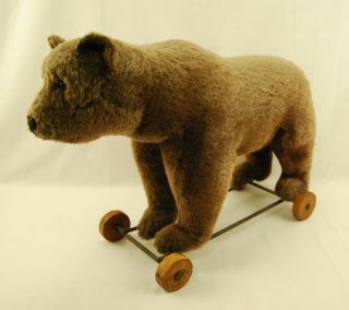 1921 Steiff 23 " Bear On Wheels With Ear Button " Long Trailing F " - Rare Antique
