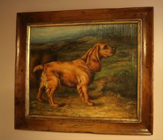 Antique Oil Painting On Canvas Of A Cocker Spaniel,  Signed Illegible