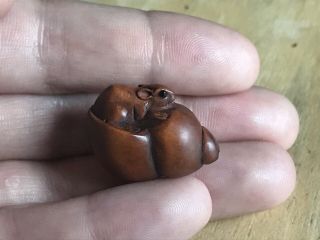 Finely Carved Japanese Boxwood Mouse On Conch Netsuke,  Ojime Bead,  Signed 1 Inch