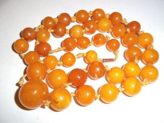 Antique Egg Yolk Amber Bead Necklace,  9ct Gold Clasp Approx 33.  8 Grms
