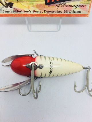 Vintage Tough Heddon Crazy Crawler Fishing Lure 2150 MUSKY WOW 3