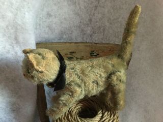 Rare Antique Vtg Steiff Mohair Tabby Cat Glass Eyes 5 Way Jointed Cat Very Small 8
